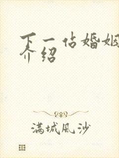 下一站婚姻剧情介绍