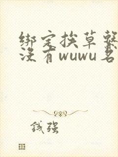 绑定挨草系统后没有wuwu名字
