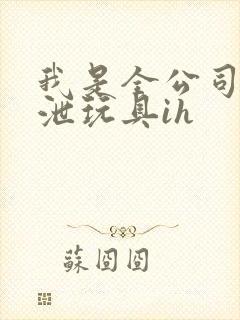 我是全公司的发泄玩具ih封面