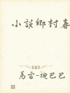 小说乡村春光