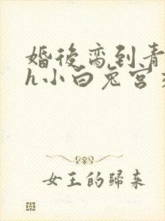 婚后脔到青梅哭h小白兔宫交h