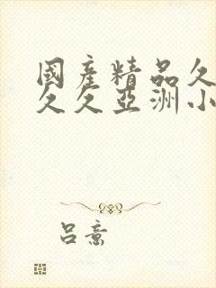 国产精品久久久久久亚洲小说
