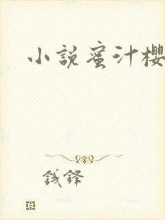 小说蜜汁樱桃