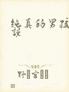 纯真的男孩子小说