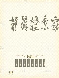 好儿媳秦雨罗明罗兴旺小说