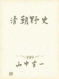 清朝野史