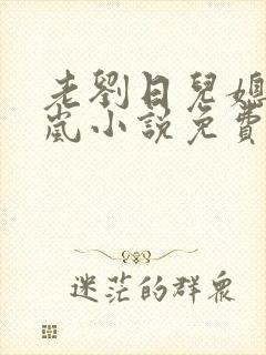 老刘日儿媳妇张岚小说免费阅读
