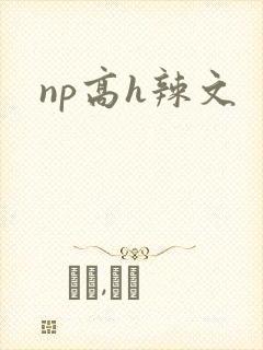 np高h辣文