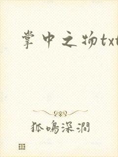 掌中之物txt封面