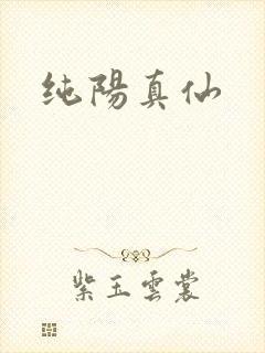 纯阳真仙
