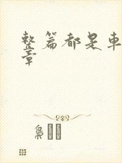 整篇都是车的文章
