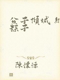 公子倾城 维和粽子