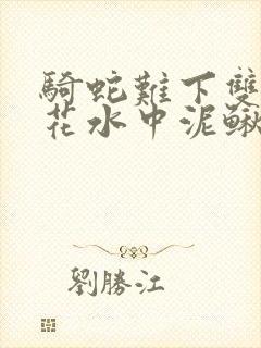 骑蛇难下双金银花水中泥鳅