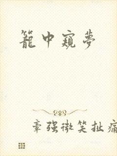 笼中窥梦