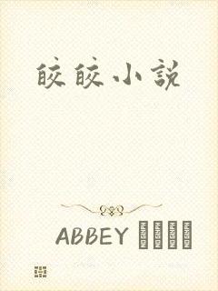 皎皎小说封面
