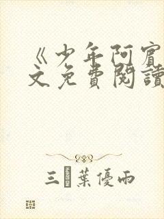 《少年阿宾》全文免费阅读