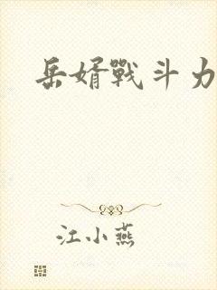 岳婿战斗力