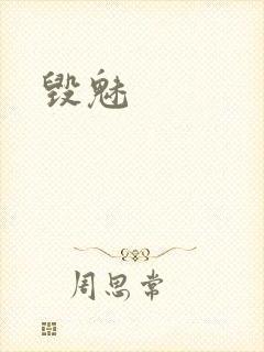 毁魅封面