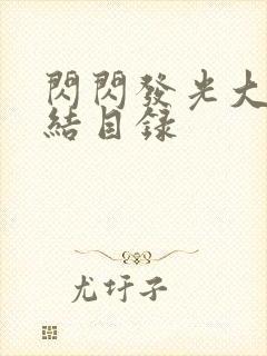闪闪发光大团圆结目录封面