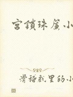 宫锁珠帘小说