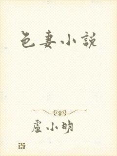 色妻小说封面