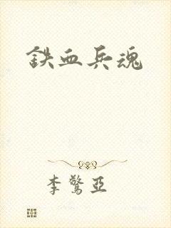 铁血兵魂封面