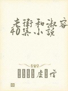 老卫和淑容1-40集小说