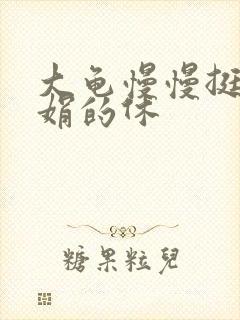 大龟慢慢挺进张娟的休