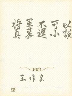将军不可以魏云真慕迟小说笔趣阁