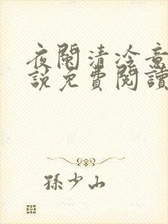 夜阑清冷意欢小说免费阅读