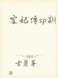 宸妃传sp训诫
