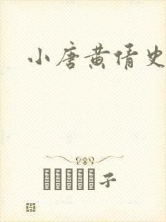 小唐黄倩史封面