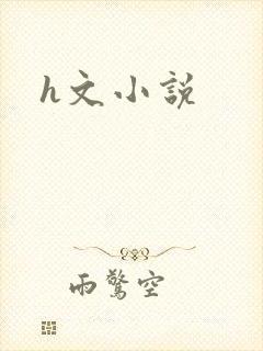h文小说