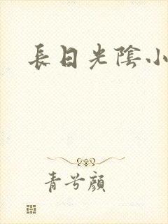 长日光阴小说
