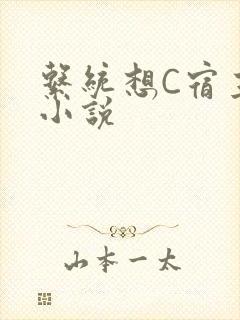 系统想C宿主的小说
