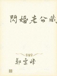 闪婚老公藏不住封面