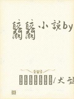 皎皎小说by华阚阚封面