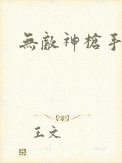 无敌神枪手封面