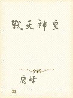 战天神皇封面