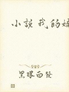 小说 我的娇妻