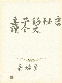 妻子的秘密免费读全文封面