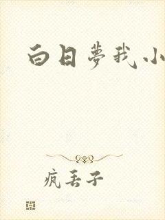 白日梦我小说