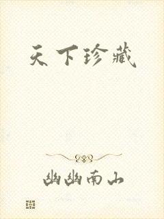 天下珍藏