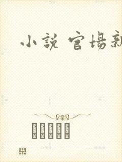 小说 官场新贵
