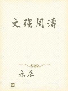 文强周涛封面