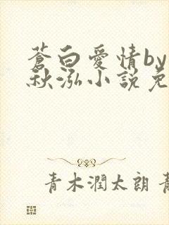 苍白爱情by三秋泓小说免费阅读笔趣阁