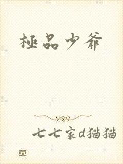 极品少爷