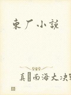 东厂小说