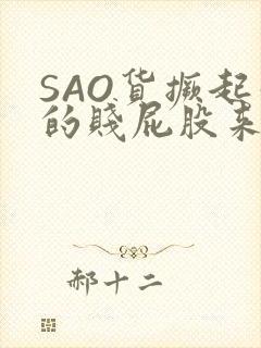 SAO货撅起你的贱屁股来封面