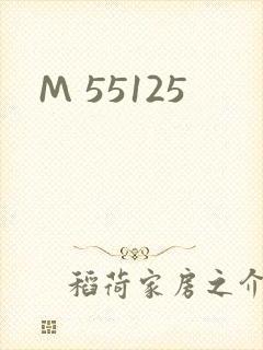 M 55125封面